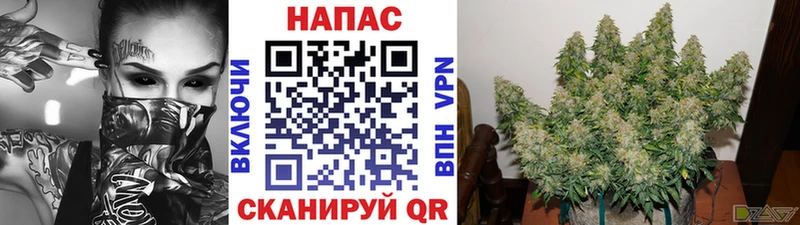 Все наркотики Карачев Бошки Шишки  КОКАИН  АМФЕТАМИН  Меф мяу мяу  Гашиш 