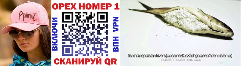МЕГА ТОР  Карачев  Кокаин Fish Scale 