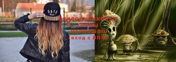 сатива Абдулино