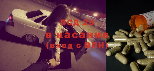 крисы Абаза
