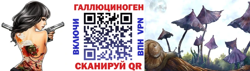 купить   Карачев  Псилоцибиновые грибы Psilocybe 