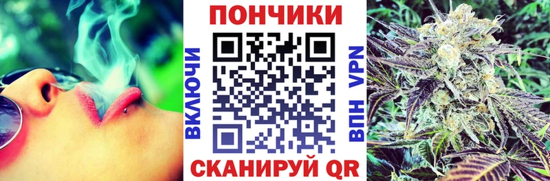 Канабис SATIVA & INDICA Карачев
